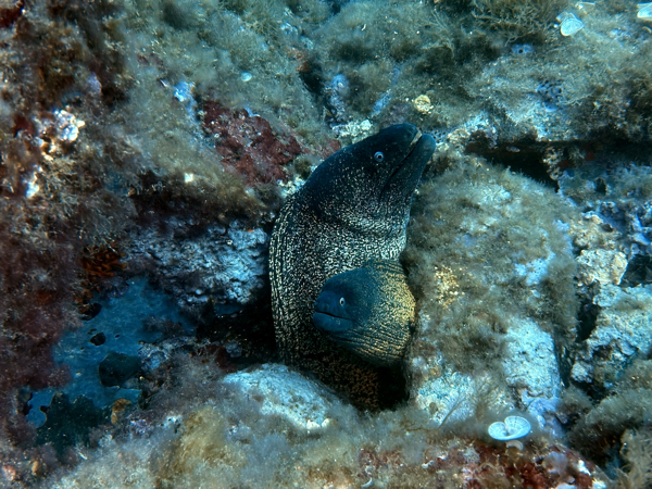 https://img3.super-h.fr/images/2025/07/20/snapshot_1458777923.jpg