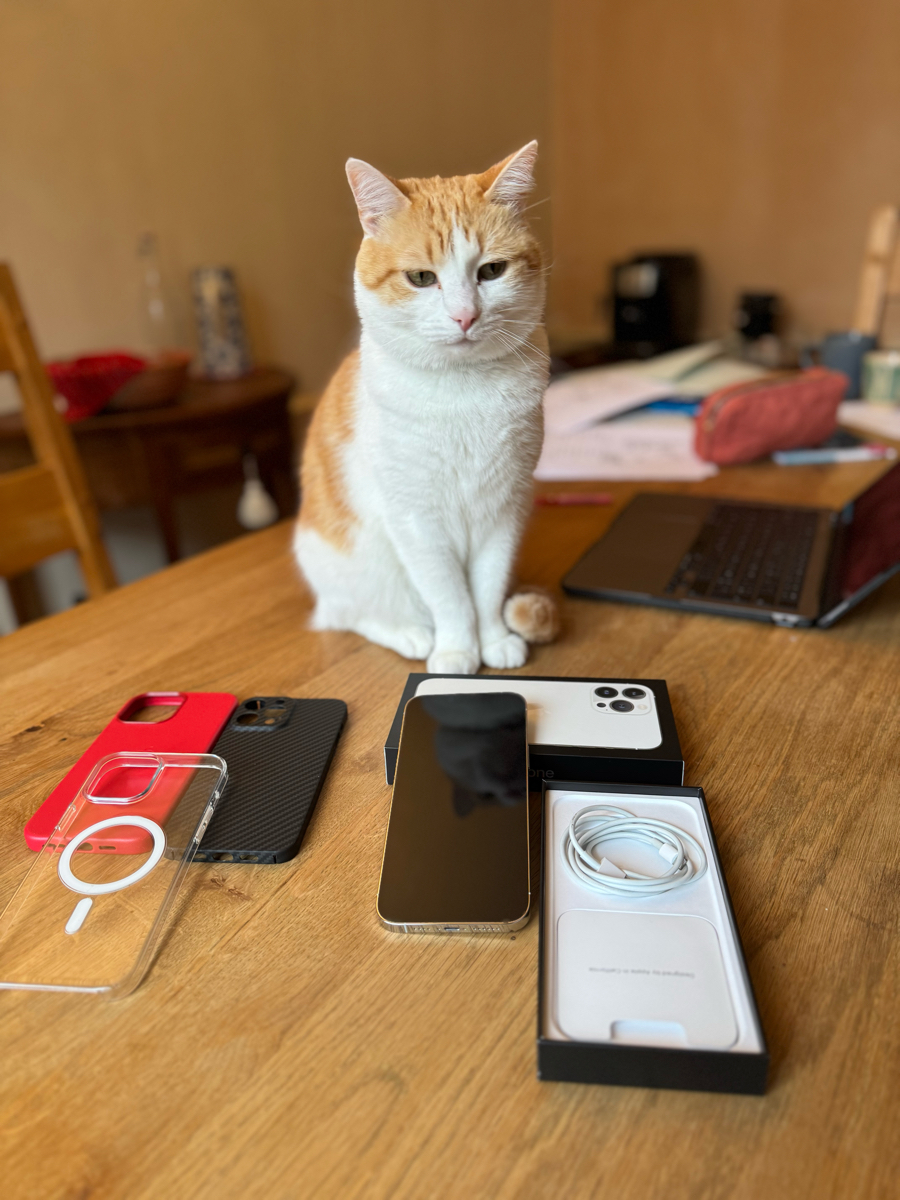 https://img3.super-h.fr/images/2025/09/27/snapshot_168079886303d0f1b229e.jpg