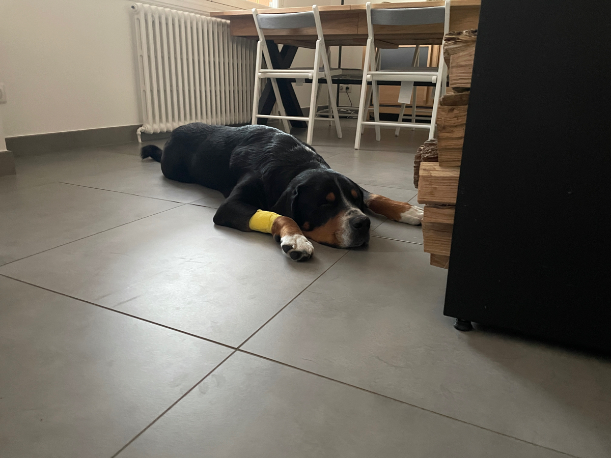 https://img3.super-h.fr/images/2026/07/22/snapshot_282475249.jpg